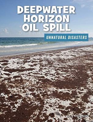 Deepwater Horizon原油流出事故：21世紀のアメリカを揺るがした環境災害とエネルギー産業への警鐘